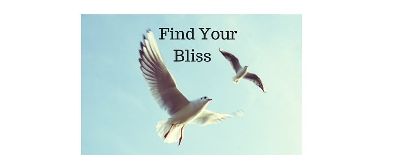 Find Your Bliss