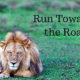 run-towards-the-roar