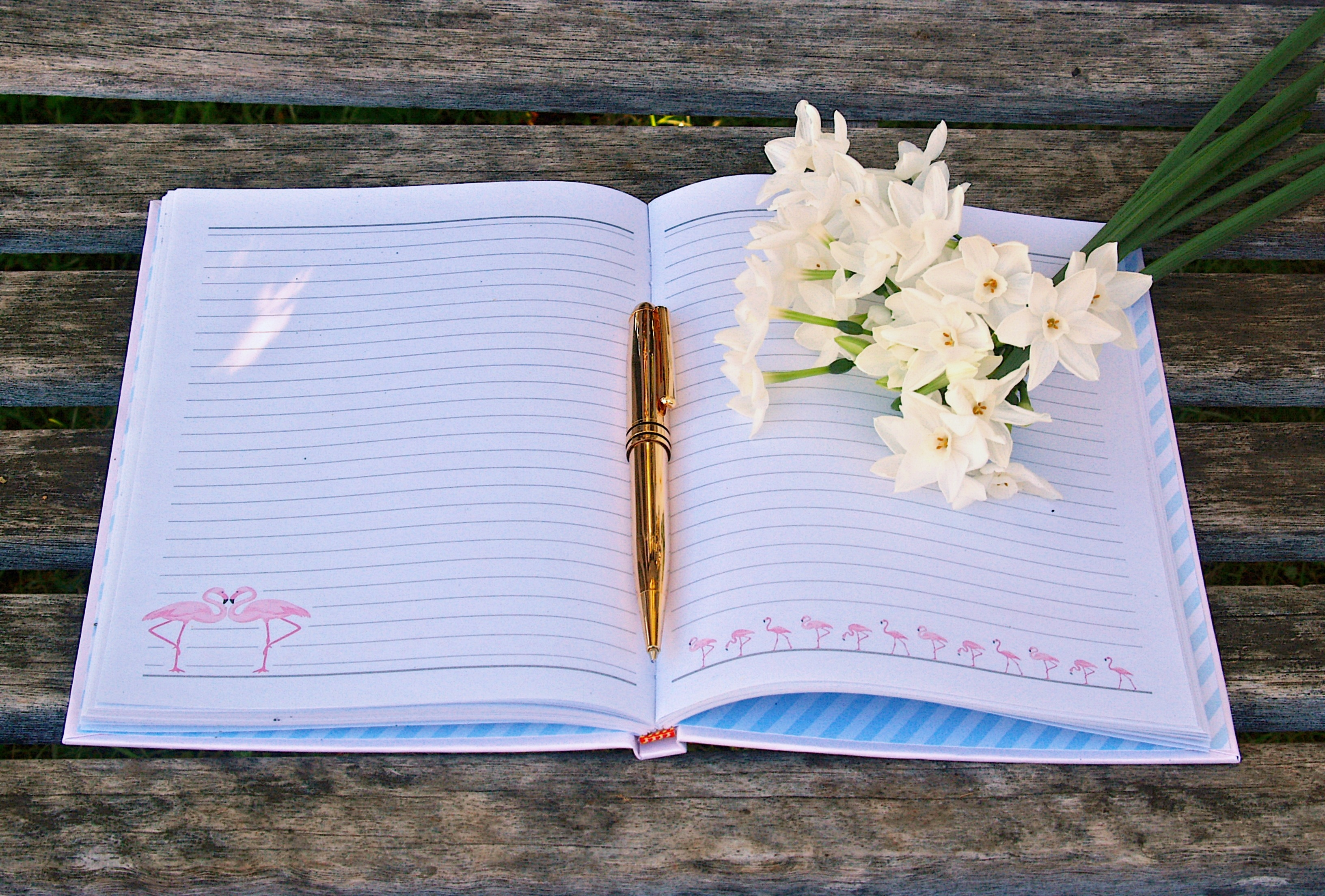 Journal, Pen, Flowers, Write, Diary, Notebook, Book (1)